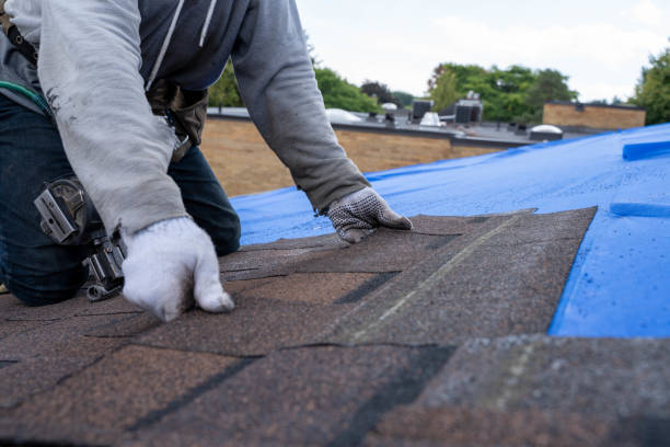 Best Roof Waterproofing Services  in Buckhead Ridge, FL