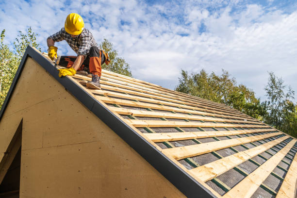 Best Roof Gutter Cleaning  in Buckhead Ridge, FL